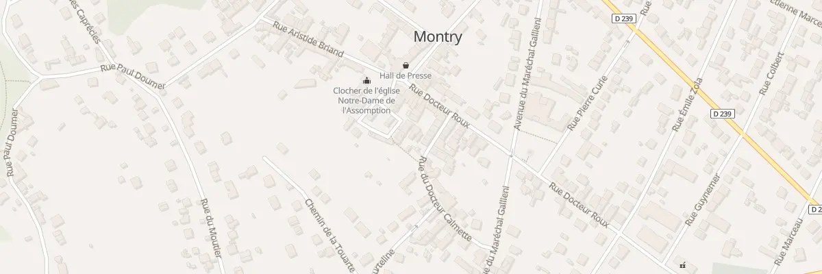 Plan du 14 Rue du Dr Roux à Montry