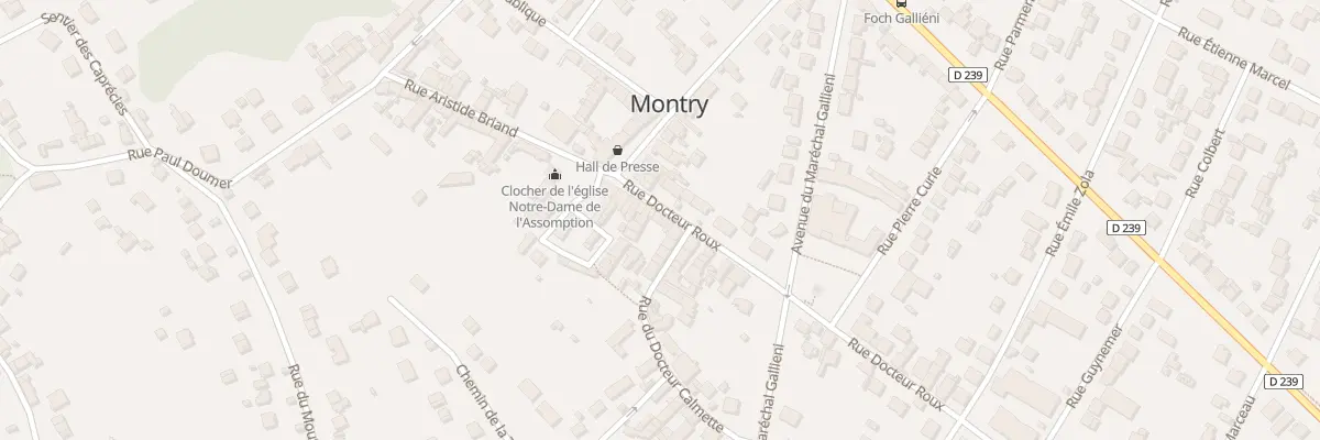 Plan du 16 Rue du Dr Roux à Montry