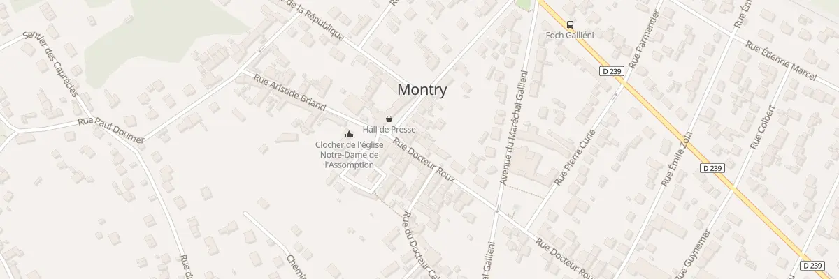 Plan du 5 Rue du Dr Roux à Montry