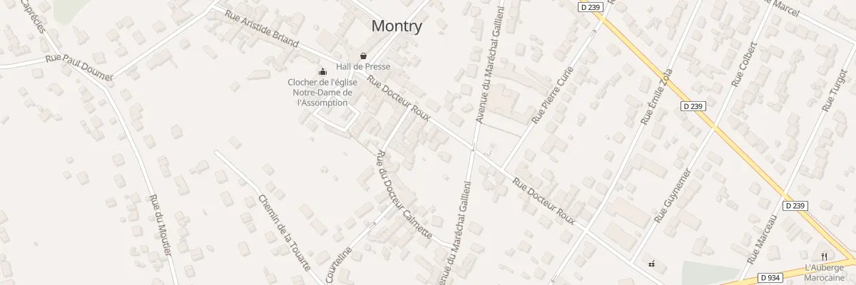 Plan du 36B Rue du Dr Roux à Montry