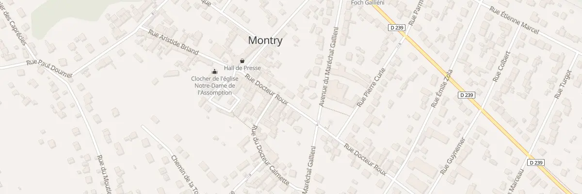 Plan du 9B Rue du Dr Roux à Montry