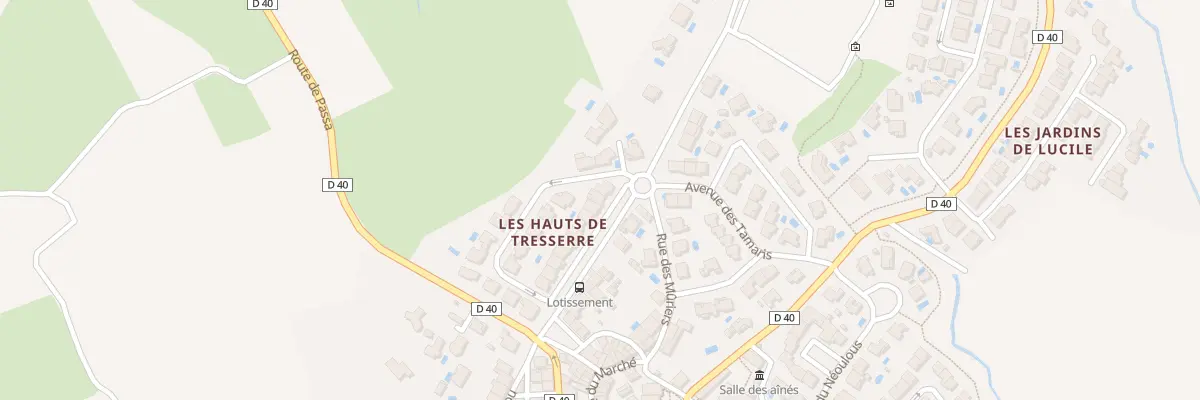 Plan du 29 Rue Louis Torcatis à Tresserre