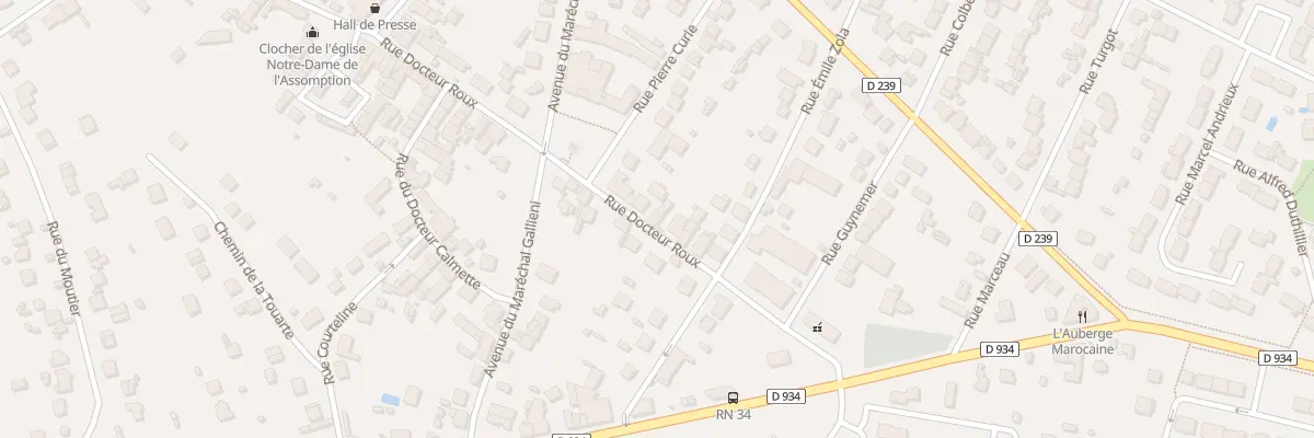 Plan du 19 Rue du Dr Roux à Montry