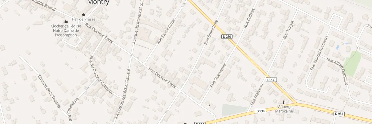 Plan du 25B Rue du Dr Roux à Montry
