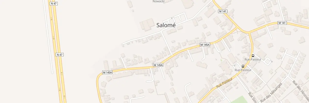 Plan du 46 Rue Victor Hugo à Salomé