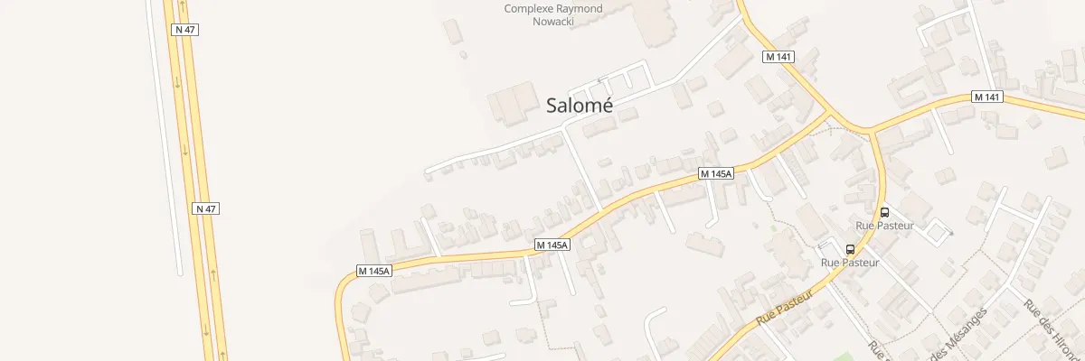 Plan du 44 Rue Victor Hugo à Salomé