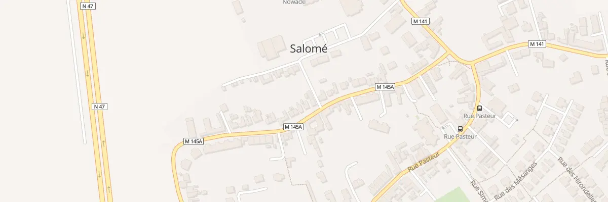 Plan du 40 Rue Victor Hugo à Salomé