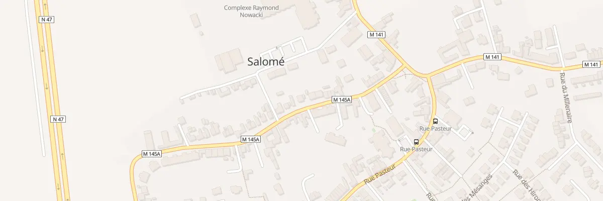 Plan du 32 Rue Victor Hugo à Salomé
