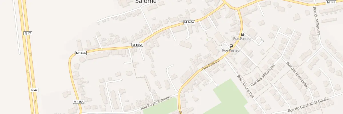 Plan du 50A Rue Pasteur à Salomé