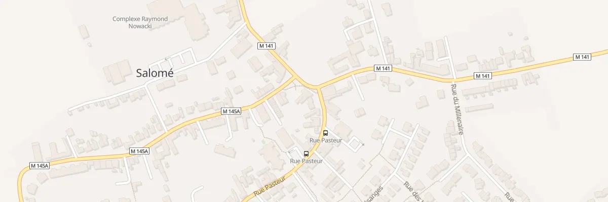 Plan du 4 Rue Pasteur à Salomé