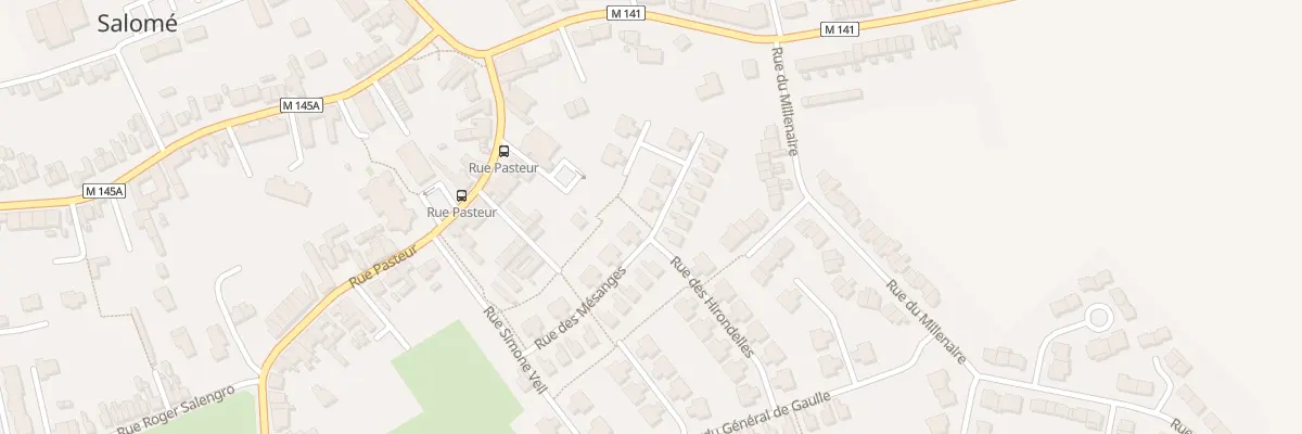 Plan du 21 Rue des Mésanges à Salomé