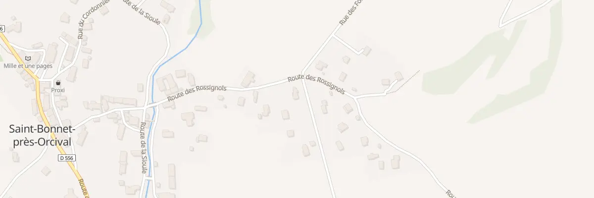 Plan du 5293 Les Rossignols à Saint-Bonnet-près-Orcival
