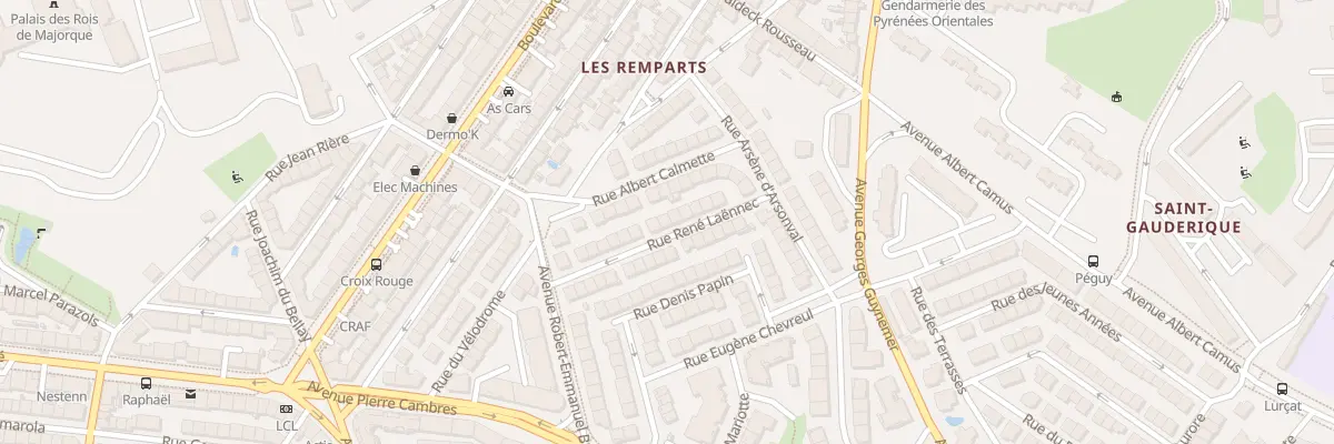 Plan du 17 Rue Laennec à Perpignan