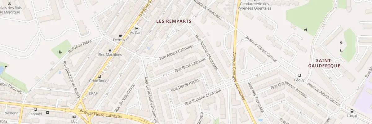 Plan du 21 Rue Laennec à Perpignan
