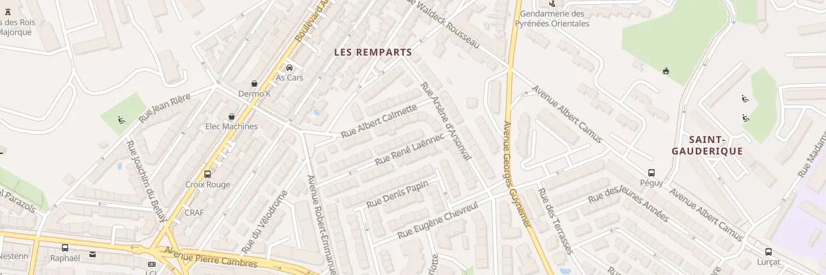 Plan du 25 Rue Laennec à Perpignan