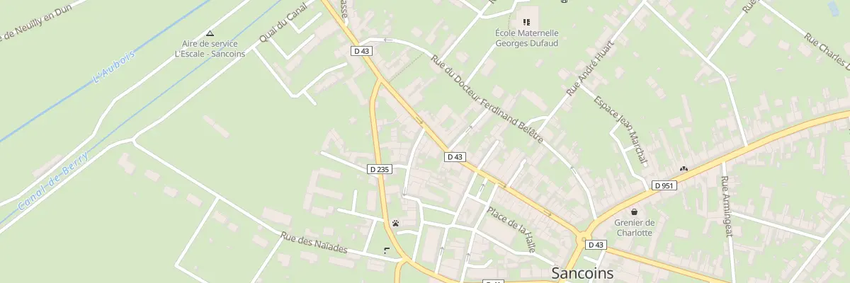 Plan du 47 Rue Fernand Duruisseau à Sancoins
