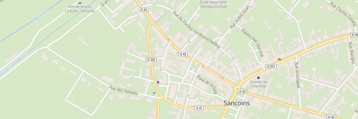 Plan du 39 Rue Fernand Duruisseau à Sancoins