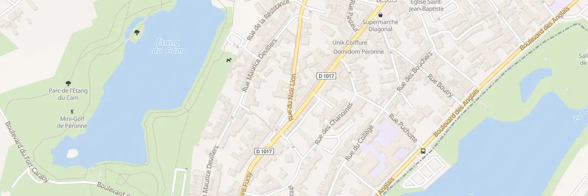 Plan du 17 Rue du Noir Lion à Péronne