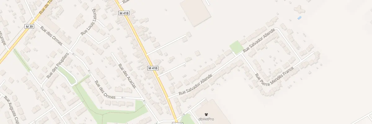 Plan du 47B Rue de Carvin à Annœullin