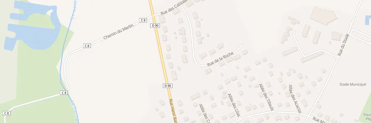 Plan du 10 Rue de la Roche à Bléneau