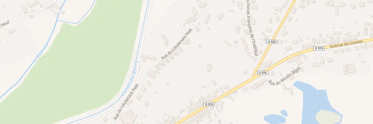 Plan du 55 Rue du Lieutenant Petit à La Guerche-sur-l’Aubois