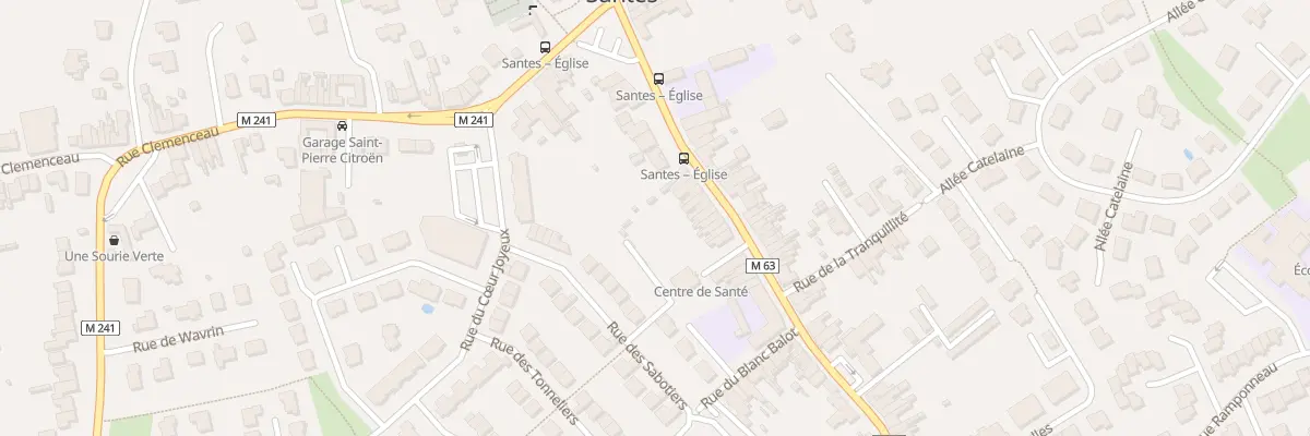 Plan du 189 Rue du Maréchal Foch à Santes