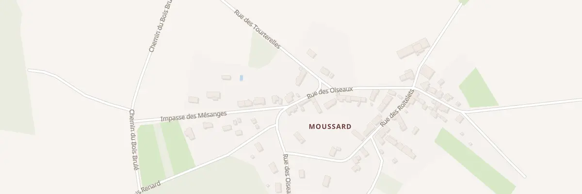 Plan du 12 Rue des Oiseaux à Saint-Martin-sur-Nohain
