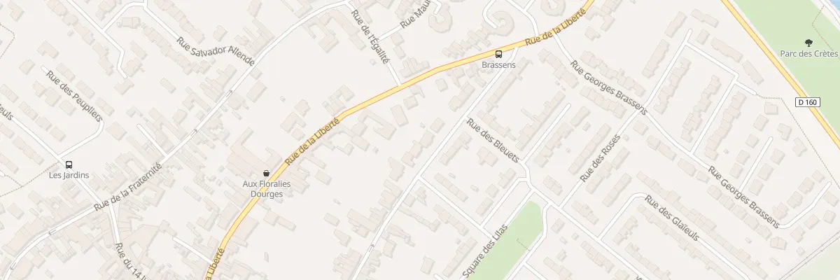 Plan du 55 Rue André Pantigny à Dourges