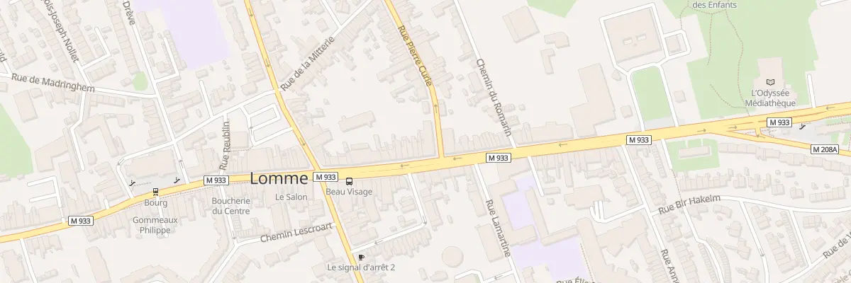 Plan du 1B Rue Pierre Curie Lomme à Lille