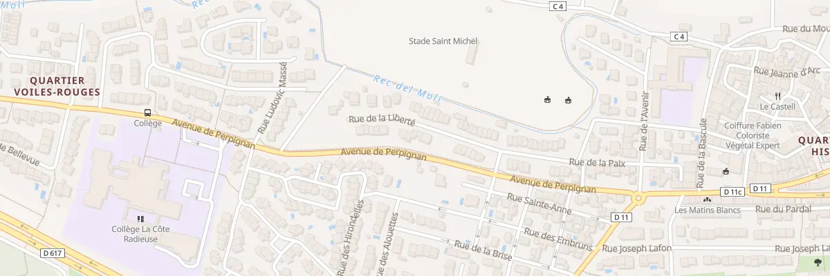 Plan du 31 Rue de la Liberté à Canet-en-Roussillon