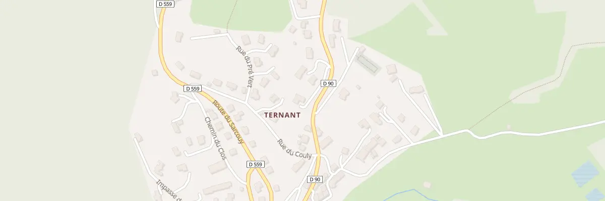 Plan du 29 Rte de Chanat - Ternant à Orcines
