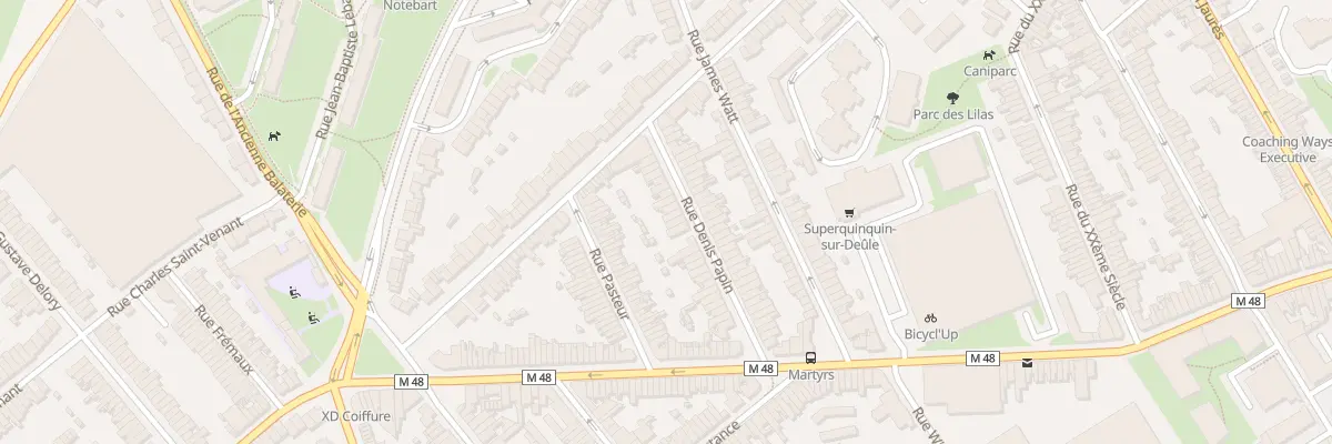 Plan du 29 Rue Denis Papin Lomme à Lille