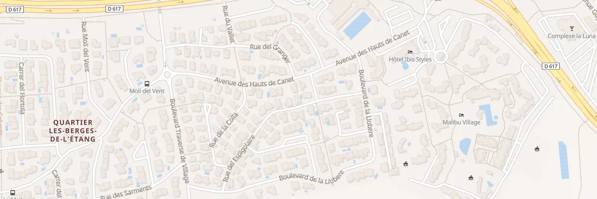Plan du 21 Rue Del Espigolaire à Canet-en-Roussillon