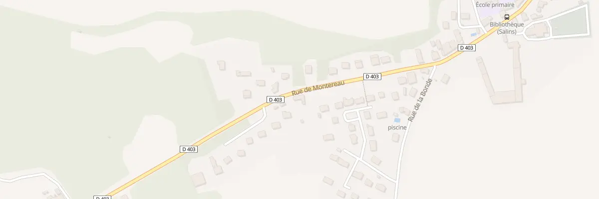 Plan du 31 Rue de Montereau à Salins