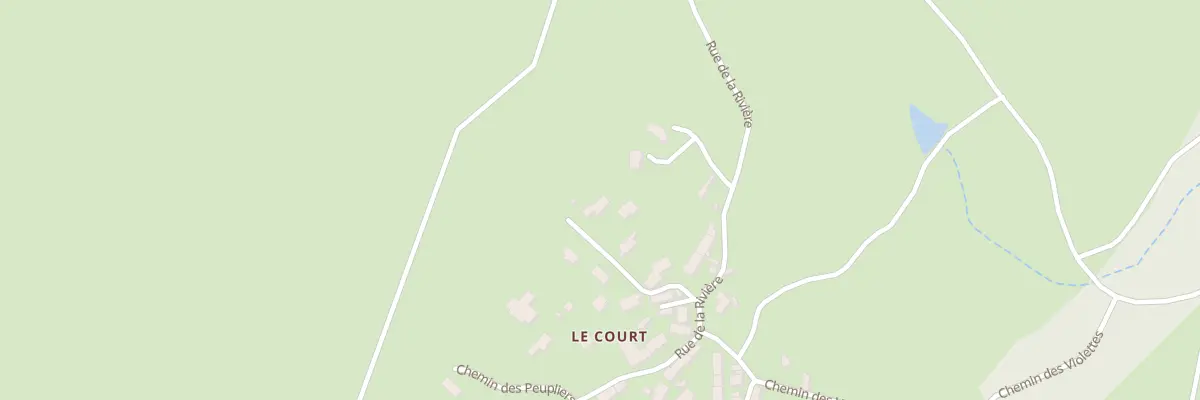 Plan du 5411 Le Court à Loubeyrat