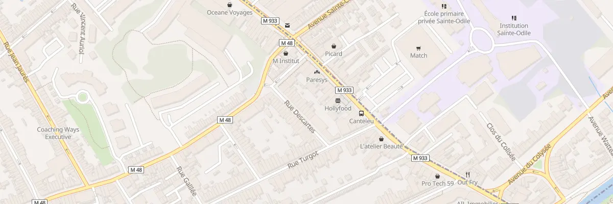 Plan du 20 Rue Descartes à Lille
