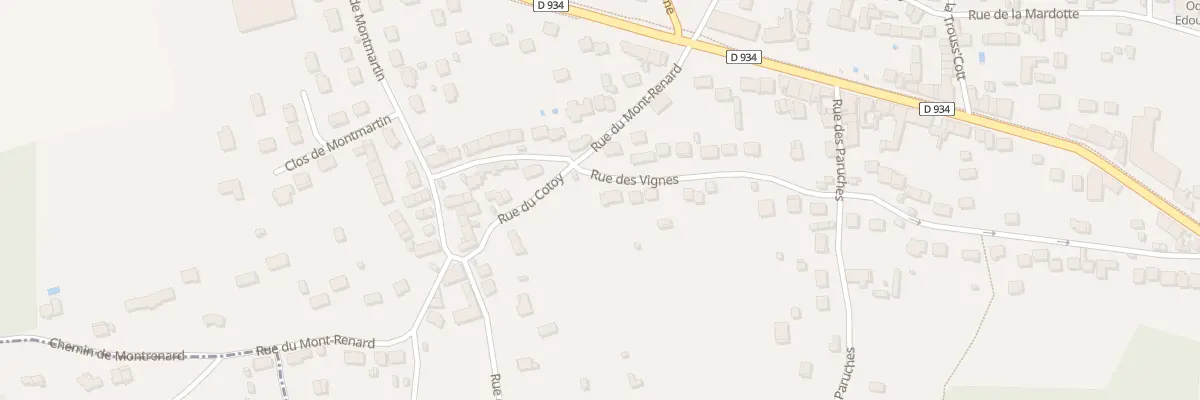 Plan du 505 Rue des Vignes à Mouroux