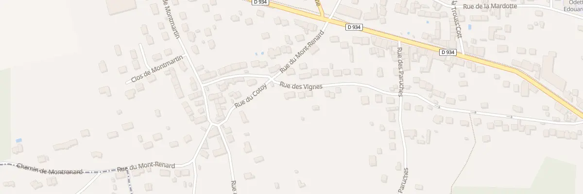 Plan du 497 Rue des Vignes à Mouroux