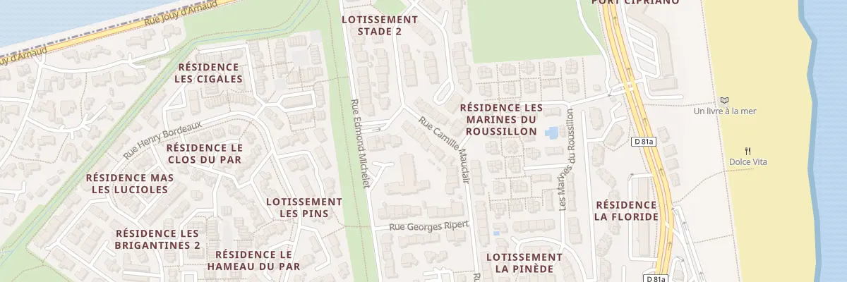 Plan du 19 Rue Camille Mauclair à Saint-Cyprien