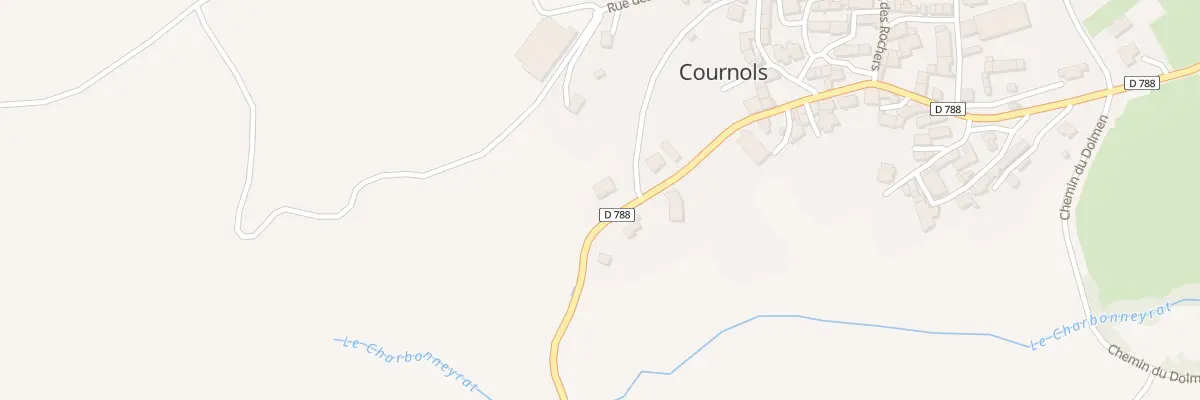 Plan du 312 Rue des Coustilles Le Bourg à Cournols