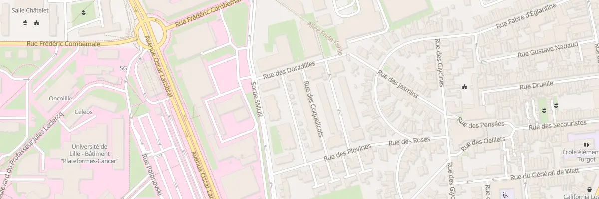 Plan du 46 Rue des Coquelicots à Lille