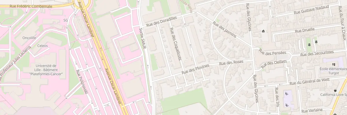 Plan du 100 Rue des Coquelicots à Lille