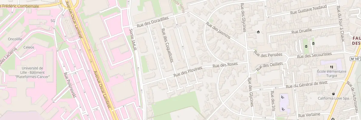 Plan du 110 Rue des Adonides à Lille