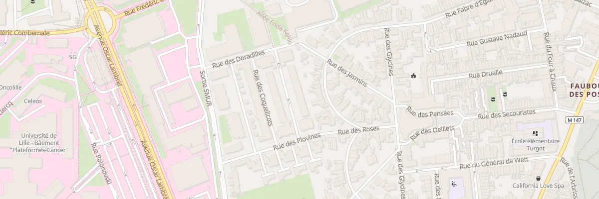 Plan du 81 Rue des Adonides à Lille