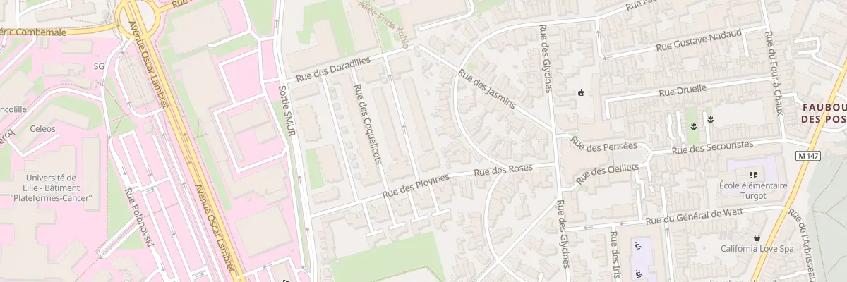 Plan du 99 Rue des Adonides à Lille