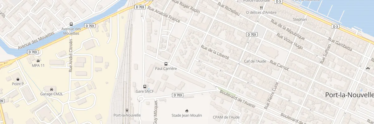 Plan du 252 Rue Pasteur à Port-la-Nouvelle