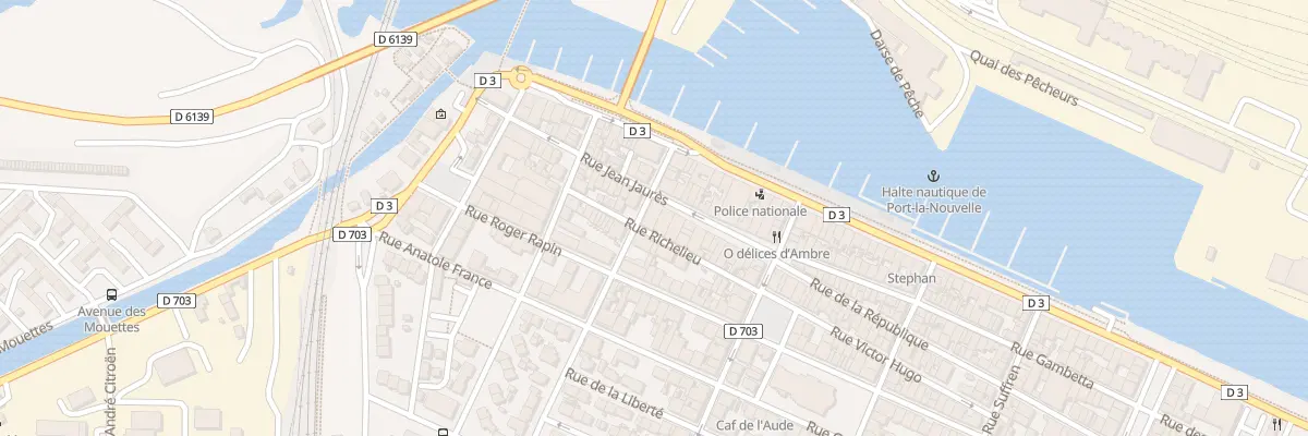 Plan du 49 Rue Pasteur à Port-la-Nouvelle