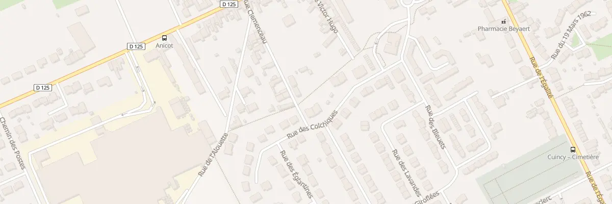Plan du 244 Rue des Colchiques à Cuincy