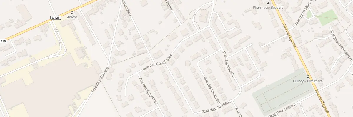 Plan du 205 Rue des Colchiques à Cuincy