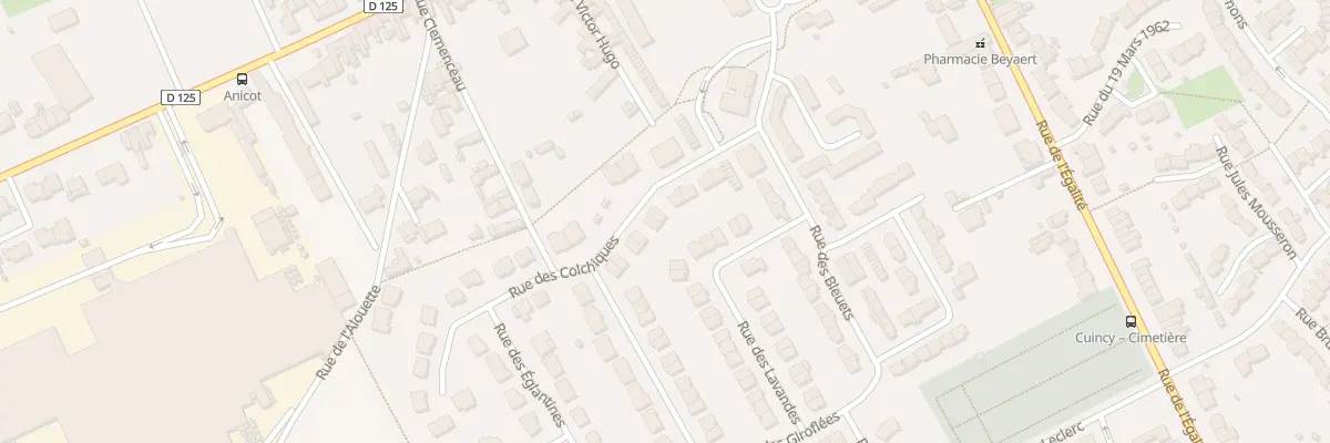 Plan du 177 Rue des Colchiques à Cuincy